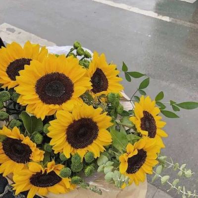 澳门王中王100%的资料app下载